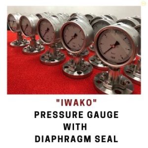 pressure gauge with diaphragm seal