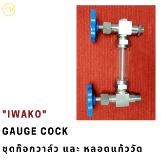 gauge cock